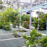 Interior photo of Organica's Laguna Industrial Park treatment facility